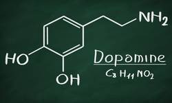 Dopamine Neurotransmitter