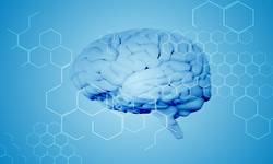 Debating the Biological Approach: Can 'brain chemistry' explain our behavior?