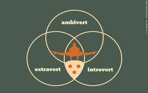 Are You An Extravert? Test