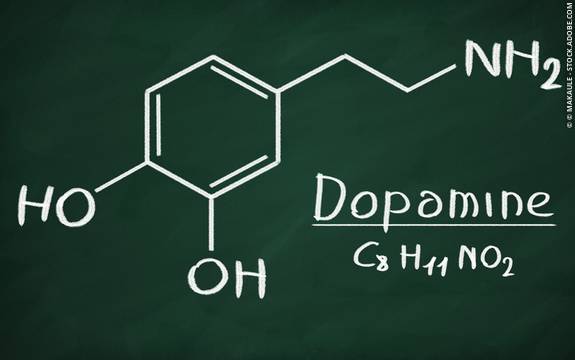 Dopamine Neurotransmitter